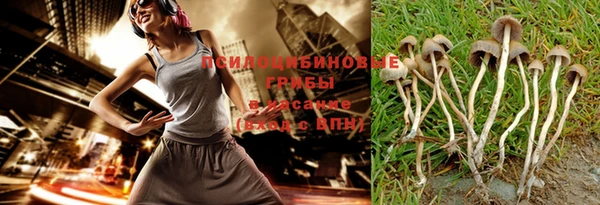 бутират Козловка