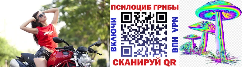Галлюциногенные грибы Psilocybe  закладка  даркнет официальный сайт  Камень-на-Оби 